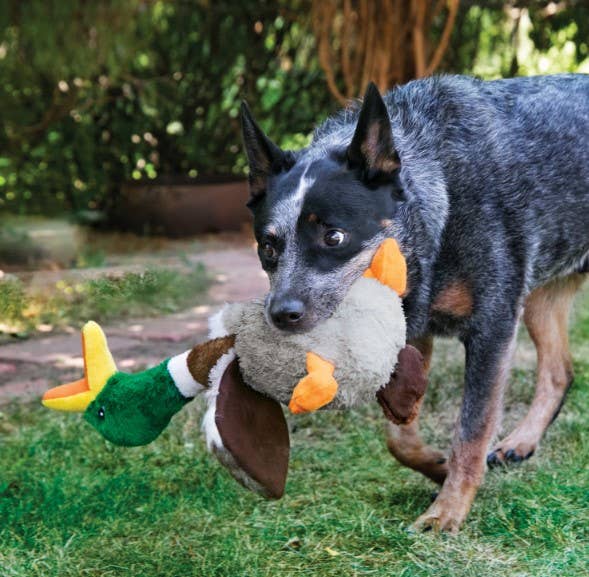 Honkers Duck Dog Plush Toy Large