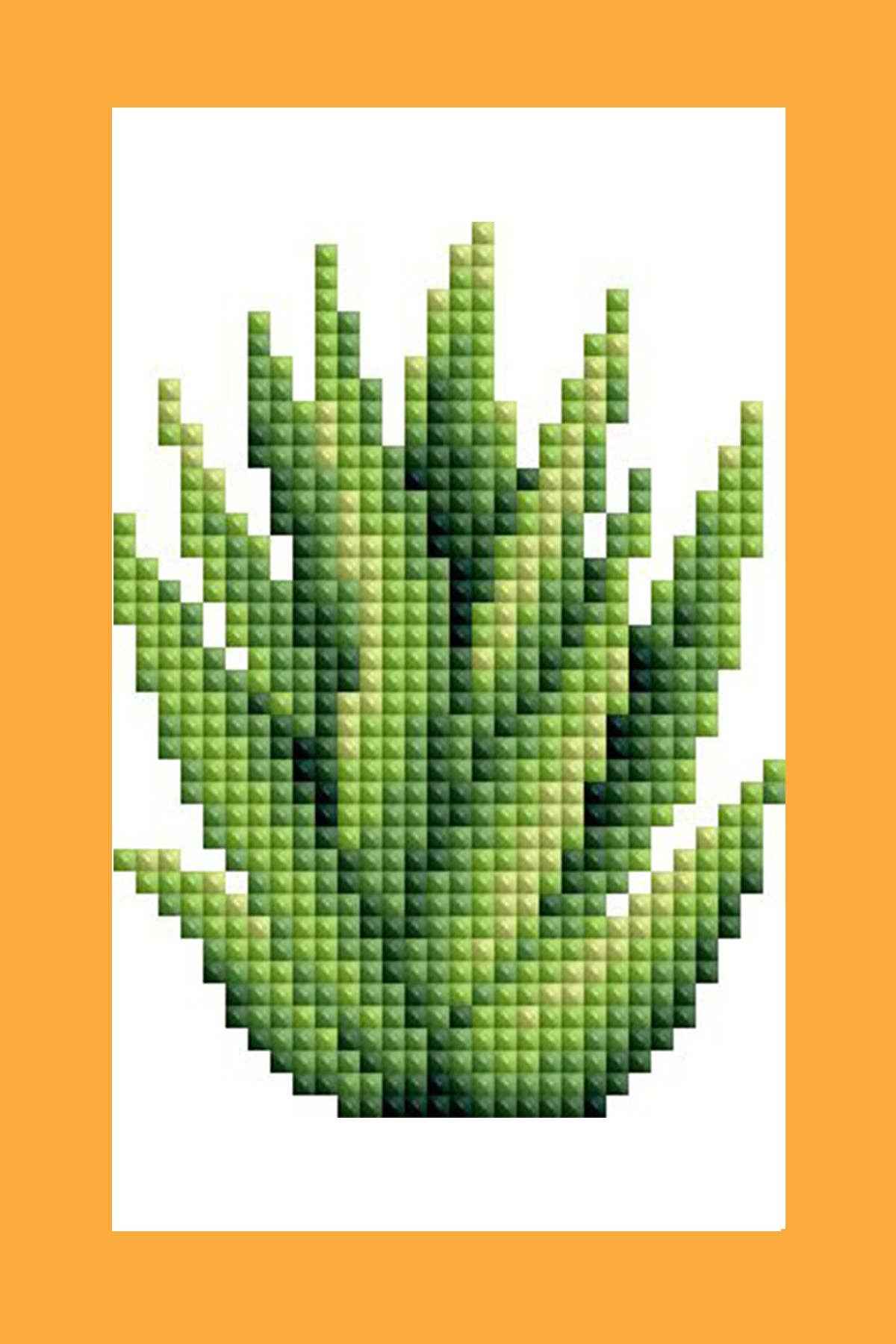 Mini Dazzles™ - Herbs & Medicinal Plants