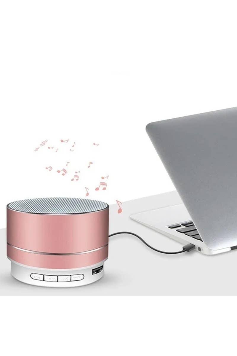 Mini Portable Wireless Bluetooth Speaker