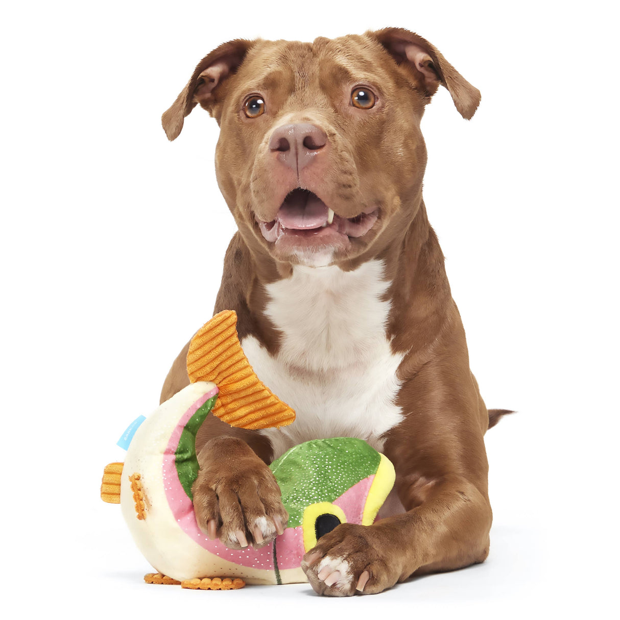 BARK Trout Plush Dog Toy