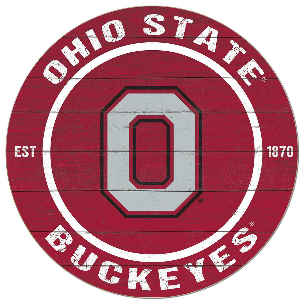 20x20 Team Ohio State Buckeyes