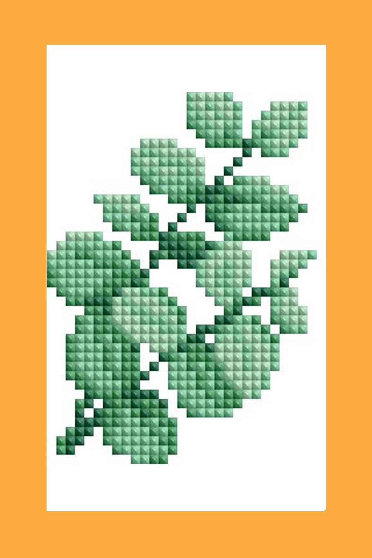 Mini Dazzles™ - Herbs & Medicinal Plants