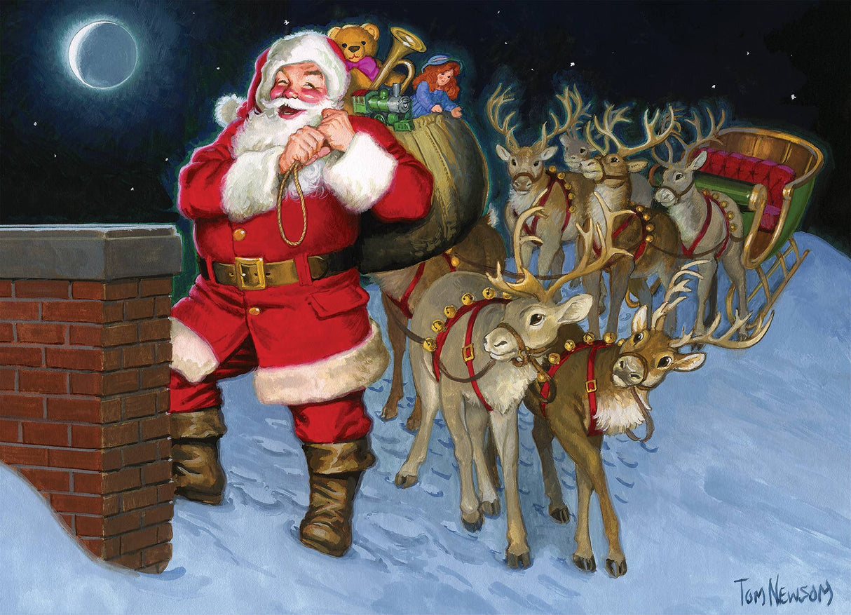 Up on the Rooftop 500pc puzzle