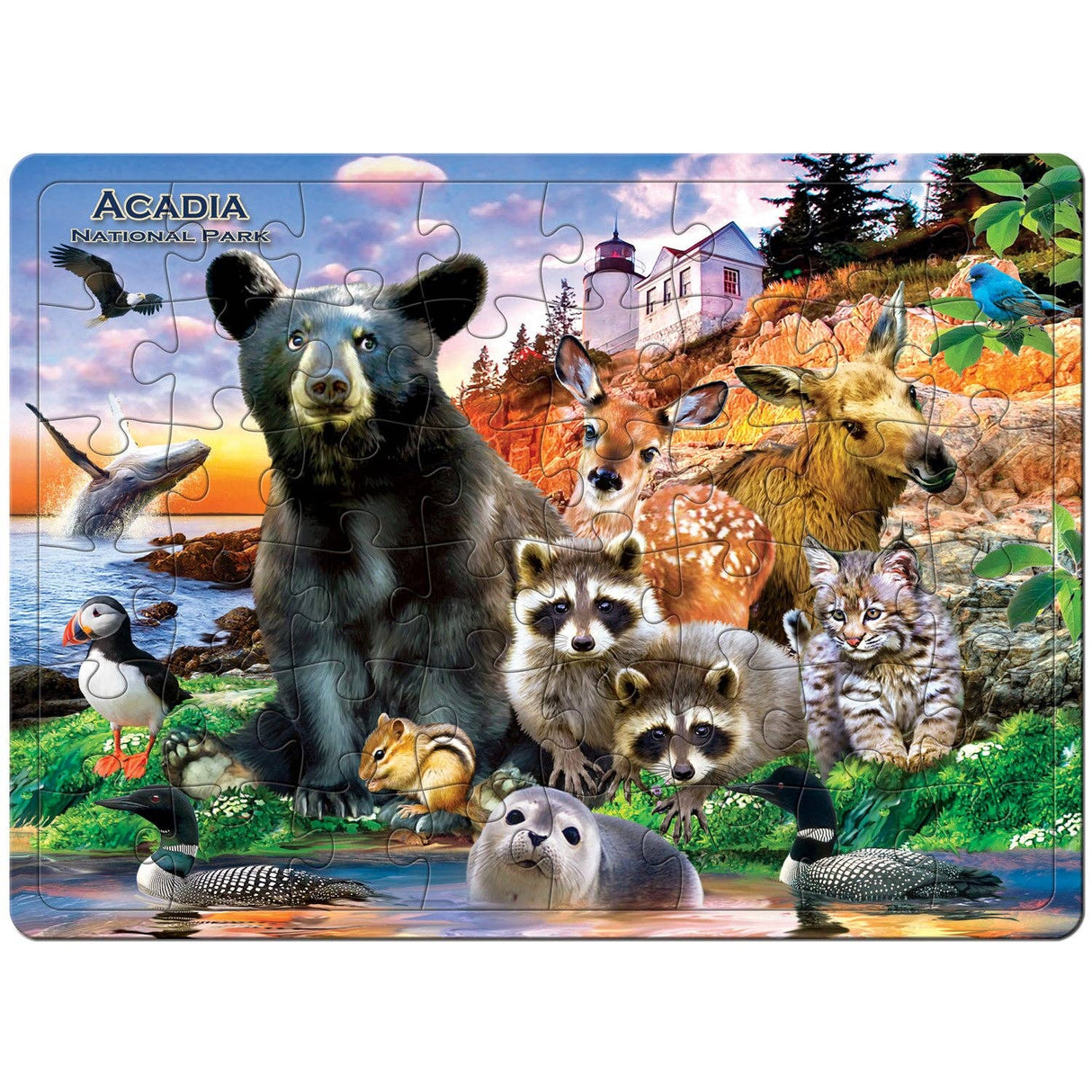 Acadia National Park 48 Piece Tray Puzzle
