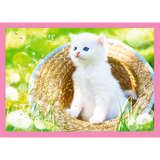 Preschool 4 in 1 Puzzle - Fun cats