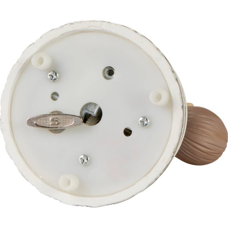 Best Day Ever Musical