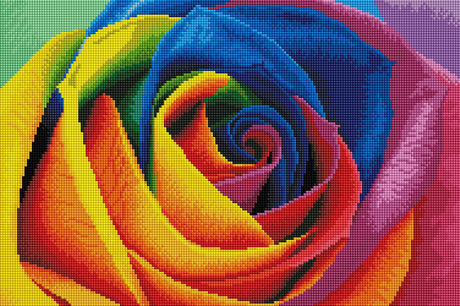 Rainbow Flower Petals