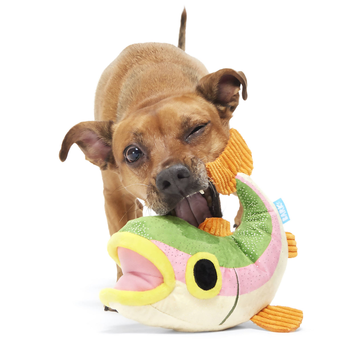 BARK Trout Plush Dog Toy