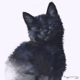 The Wink Adorable DIY Craft Kitty Kit