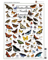 Butterflies of North America 1000 Piece Puzzle