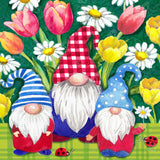 Spring Garden Gnomes